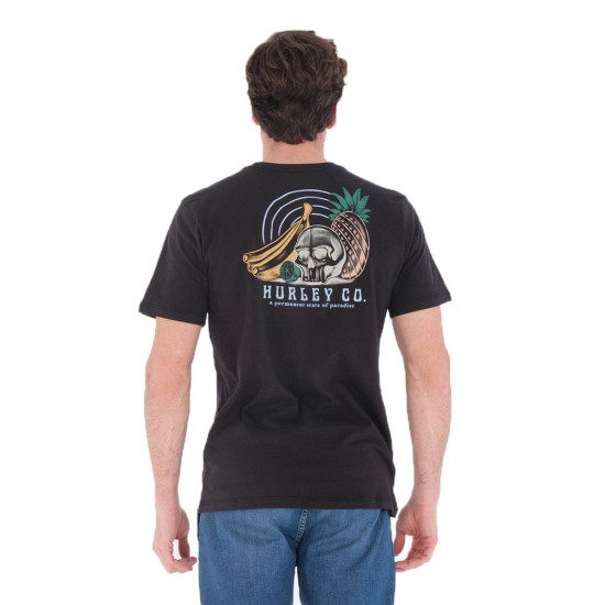 Hurley Ανδρική κοντομάνικη μπλούζα Everyday Washed Still Life Short Sleeve T-Shirt